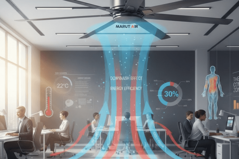 The Science Behind Air Circulation and Thermal Comfort